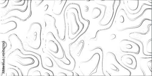 White background with detailed grayscale contour lines forming organic shapes and topographic patterns with a subtle textured metallic sheen effect