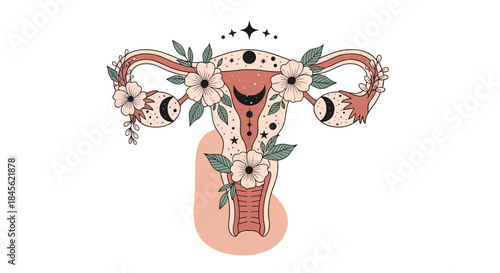 Mystical illustration of the female reproductive system with a uterus and ovaries decorated with celestial moons and flowers.