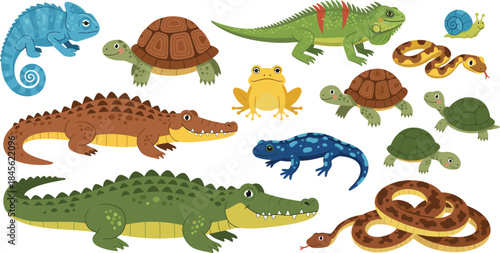 A charming vector collection of twelve common reptiles and amphibians, featuring crocodiles, alligators, turtles, iguanas, chameleons, various snakes, a frog, and a small snail, isolated on white.