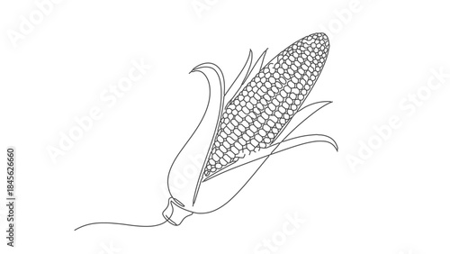 A detailed line drawing of a single ear of corn, with its husk partially peeled back to reveal the kernels.