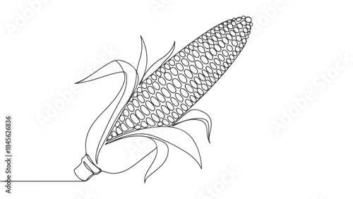 A minimalist line drawing of a ripe ear of corn with its husk partially peeled back, showcasing the kernels.