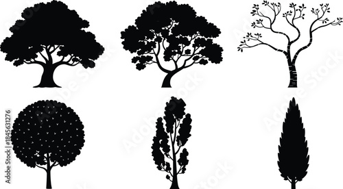Five Different Types of Black Silhouette Trees nature