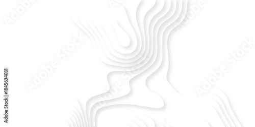 Abstract dynamic layout white papercut luxury diamond creative topography map background. vector natural shadow papercut web banner template spiral line texture.