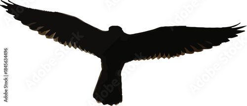 Silhouette of a raptor bird soaring against a bright sun and soft pastel clouds at sunset