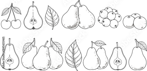 Hand-Drawn Engraving Style Vector Set of Pears, Cherries, and Berries with Leaves and Halved Fruits for Food Illustration