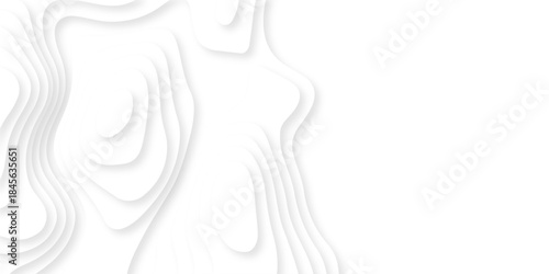 Abstract dynamic layout white papercut luxury diamond creative topography map background. vector natural shadow papercut web banner template spiral line texture.