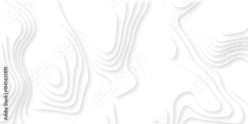 Abstract dynamic layout white papercut luxury diamond creative topography map background. vector natural shadow papercut web banner template spiral line texture.