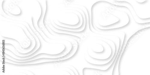 Abstract white papercut luxury diamond creative topography map background. vector natural shadow papercut web topography map spiral line texture.