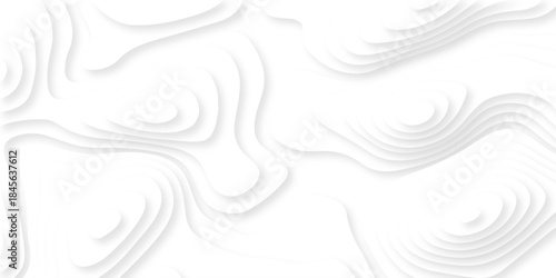 Abstract white papercut luxury diamond creative topography map background. vector natural shadow papercut web topography map spiral line texture.