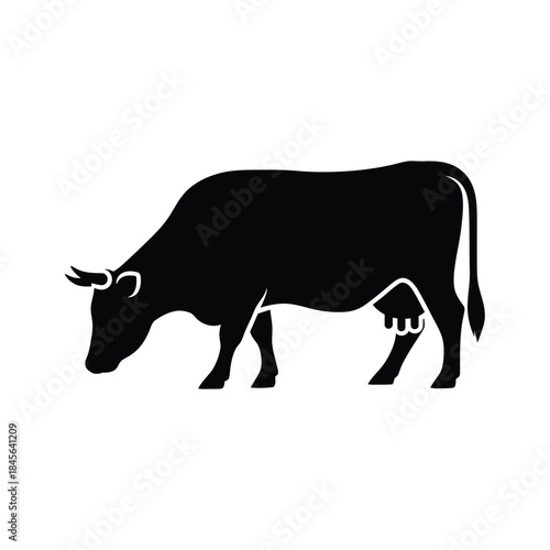 Black silhouette of a cow with horns and udder grazing white background animal