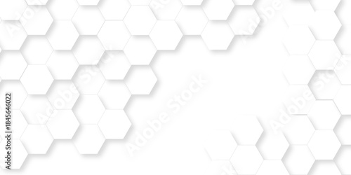 Abstract emboss paper hexagon geometric creative mosaic. white hexagon technology. vector grid honeycomb soccer hexagonal cell structure tile mess. texture emboss bee background.