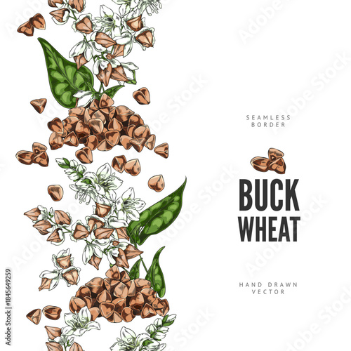 Buckwheat branch with flowers, leaves and seeds sketch vector seamless border design, hand drawn agricultural products