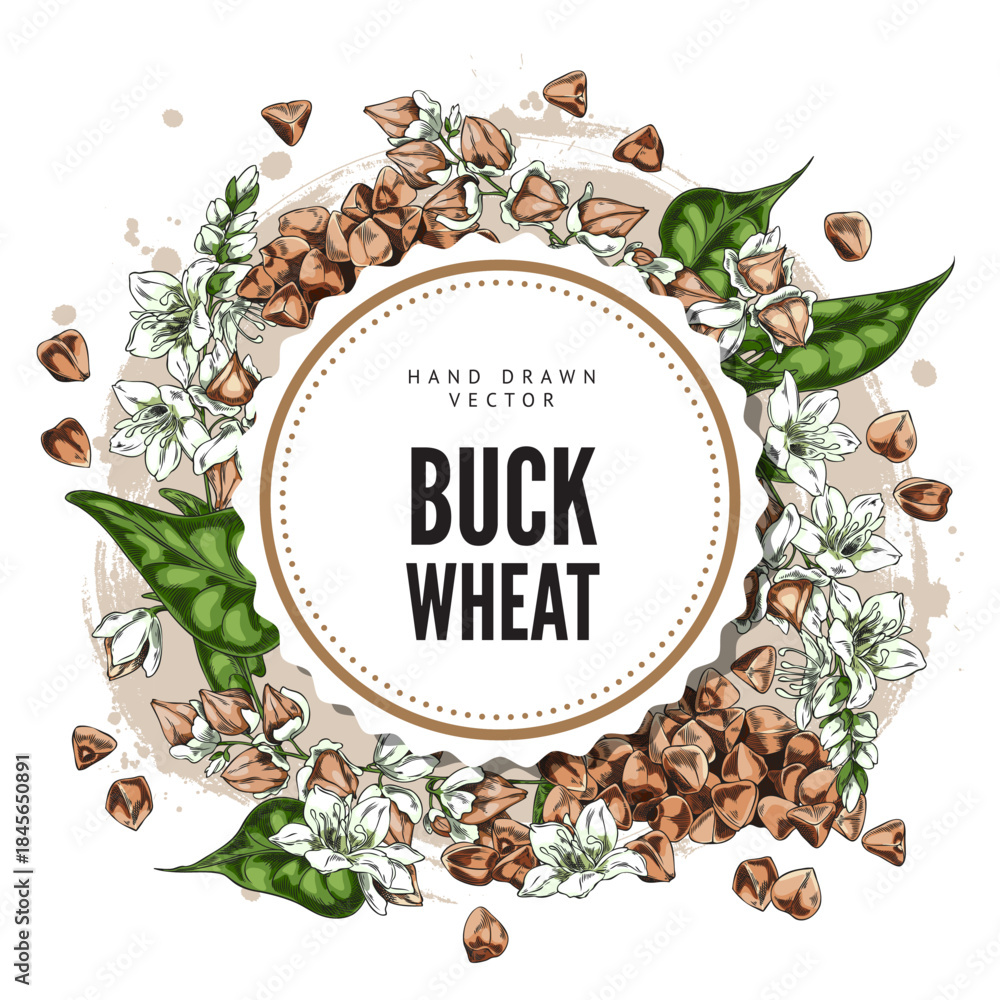 Fototapeta premium Buckwheat branch with flowers, leaves and seeds sketch vector round label design, hand drawn agricultural food products