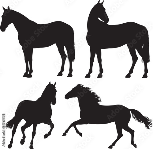 Collection of elegant horse silhouettes in various poses including standing, trotting, and galloping