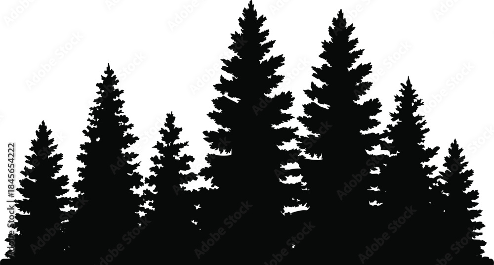 Obraz premium Pine Forest Silhouette Vector Illustration Isolated on White Background 