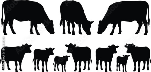 Black cow silhouettes collection grazing farm cattle, livestock herd shapes isolated on white background vector illustration design, agriculture, animals, graphic