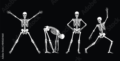 Skeleton yoga pose set, anatomical stretch icons, editable, isolated, black silhouette, flexibility vector, movement study, bone design