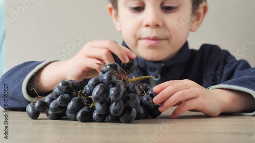 Young Child Picking a Single Dark Grape from a Large Bunch of Black Grapes