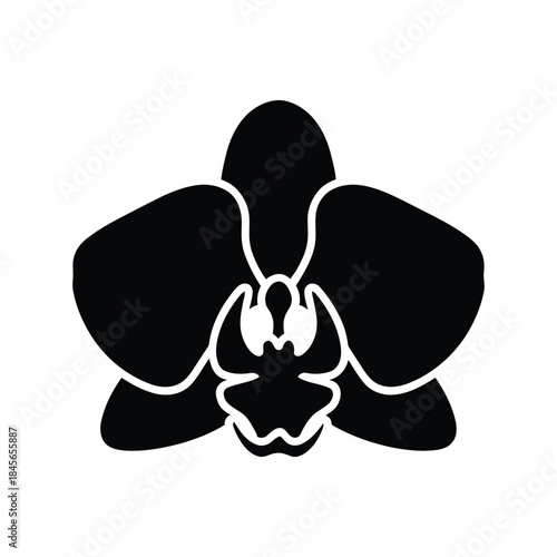 Black silhouette of a phalaenopsis orchid flower on a white background vector