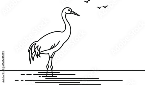 Elegant crane standing in shallow water with birds flying in the background