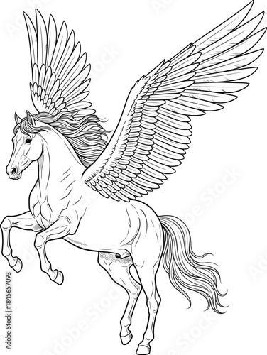 Detailed Line Drawing of Pegasus in Flight with Extended Wings, Flowing Mane and Tail for Mythical, Artistic, and Educational Use