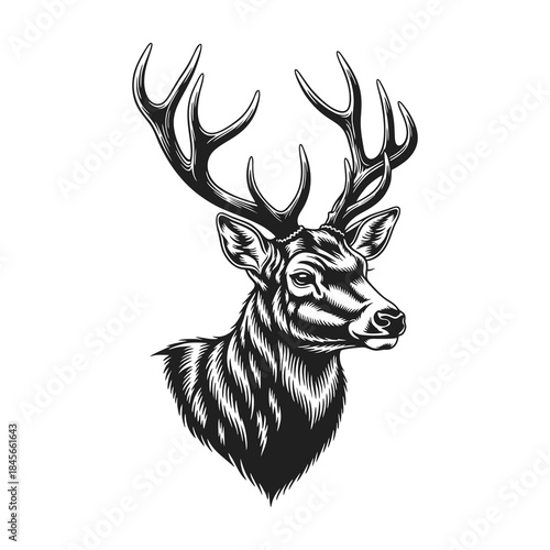 vector silhouette illustration of a deer head with a white background