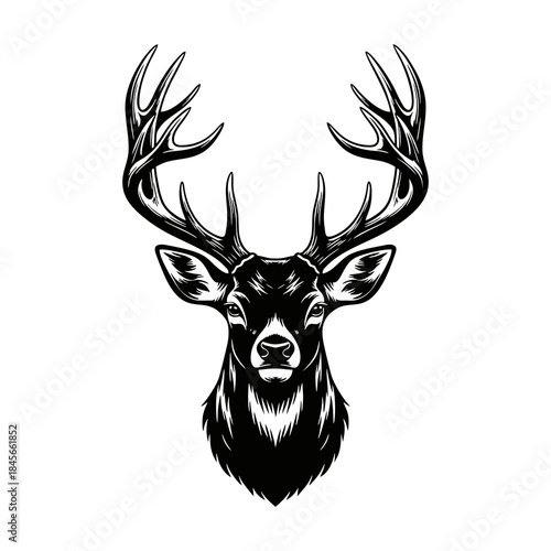 vector silhouette illustration of a deer head with a white background