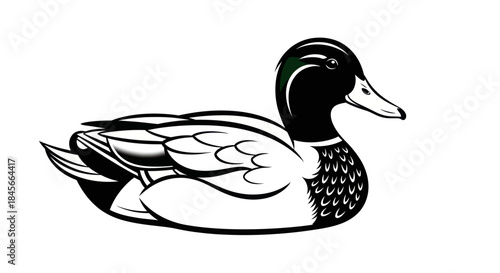 Stylized duck illustration on white background vector design