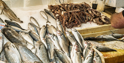 Fototapeta Naklejka Na Ścianę i Meble -  the Varvakios Market Seafood market in Athens, Greece, showcases a fresh array of seafood — including glistening silver fish and dark, curled octopuses — arranged on beds of ice. 