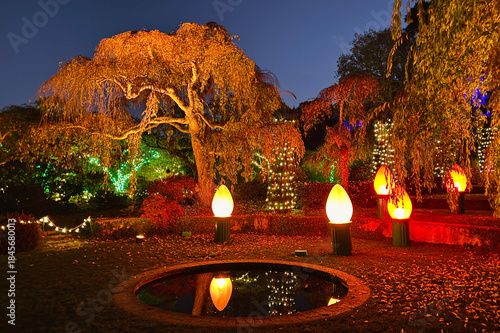 Garden decorated with colorful lights for Christmas celebration in California