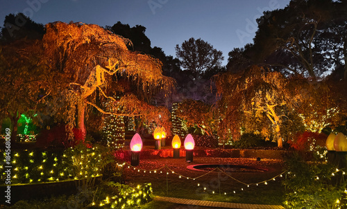 Garden decorated with colorful lights for Christmas celebration in California