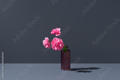 Flores de eléboro rosas de invierno de color rosa colocadas en un jarrón rosa sobre fondo gris