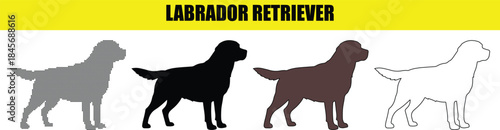 Labrador Retriever dog breed different styles and silhouettes vector illustration