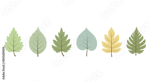 A vibrant arrangement of six colorful leaves in various shades of green and yellow on a clean white background, showcasing nature's beauty through digital illustration.