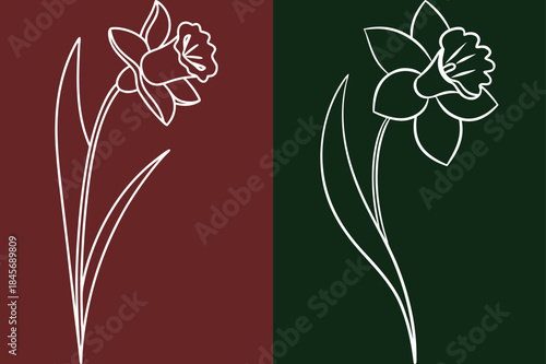 Elegant Daffodil Line Art, Floral Sketch, Botanical Illustration, Spring Bloom Design