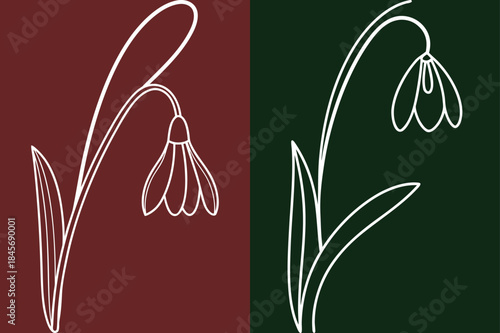 Elegant Snowdrop Flowers Line Art, Botanical Illustration For Spring Designs