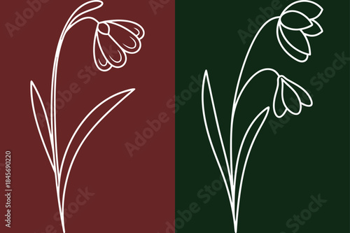 Snowdrop Flowers Line Art, Delicate Botanical Illustration, Minimalist Floral Design Elements