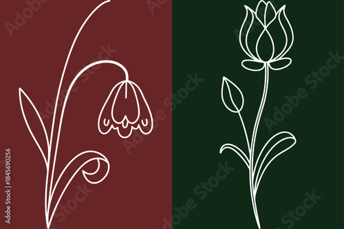 Elegant Floral Line Art Designs, Minimalist Snowdrop And Tulip Illustrations For Spring Decor