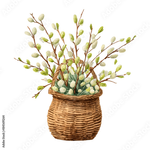 Pussy willow branches in a wicker basket offering a symbol of easter, spring, awakening, nature, and new beginnings, hand painted in watercolor