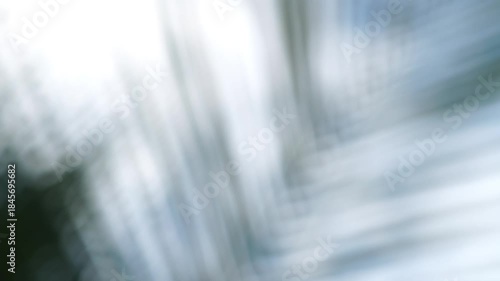 Blurred Moving Tropical Background