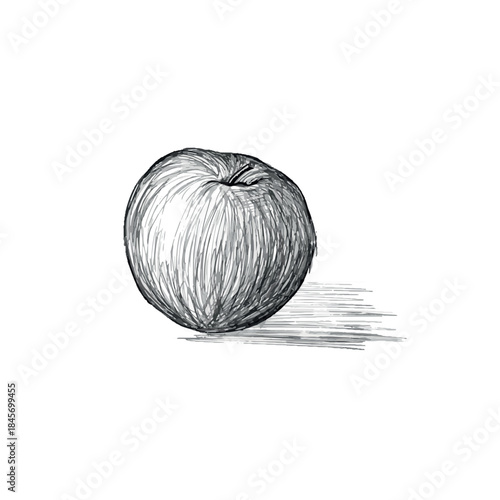 A hand sketched apple with shading in greyscale.