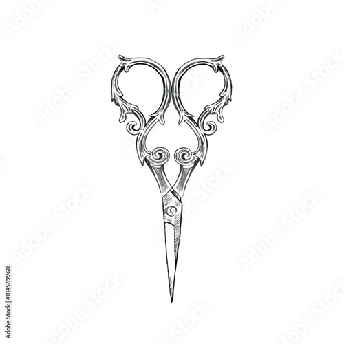 A vectorised pair of scissors in a decorative antique style. Hand drawn in greyscale.