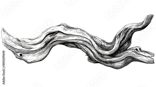 Elegant Minimalist Driftwood Design Vector Illustration