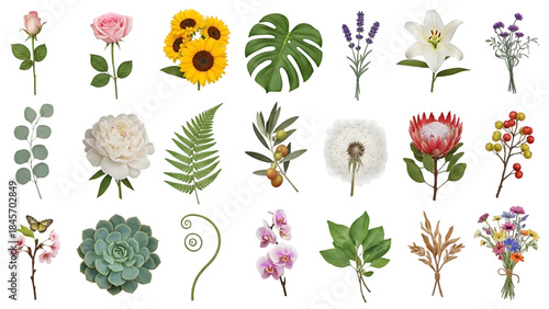 Collection of various colorful flowers, leaves, and plants on white background, including roses, sunflowers