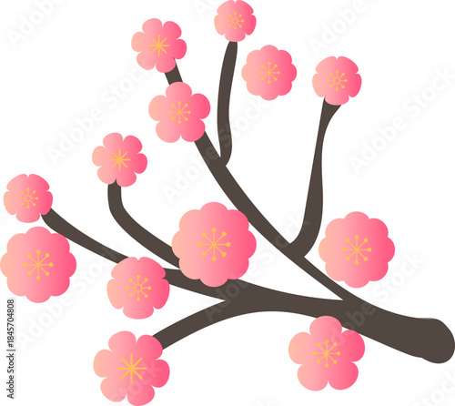 Pink Plum Blossom Branch