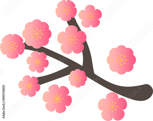 Pink Plum Blossom Floral Branch
