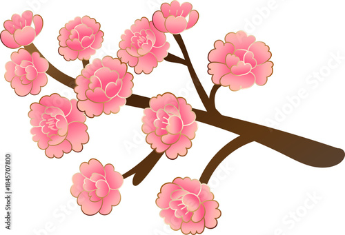 Pink Plum Blossom Blossom Cluster