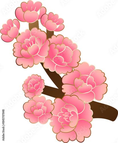 Pink Plum Blossom Floral Cluster