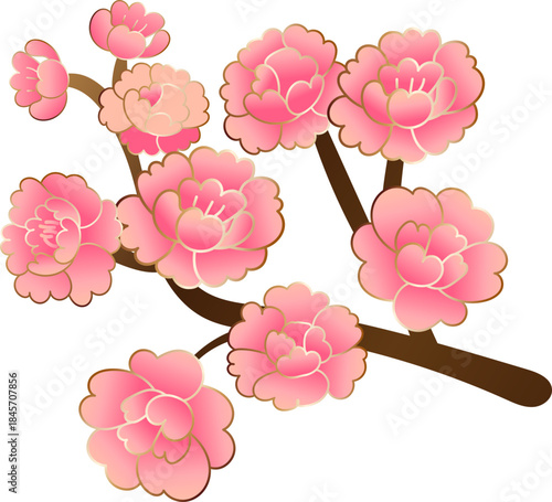Pink Plum Blossom Branch