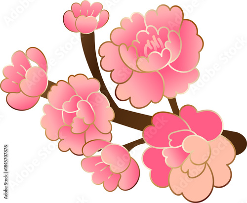 Pink Plum Blossom Flower Branch